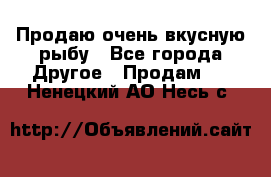 Продаю очень вкусную рыбу - Все города Другое » Продам   . Ненецкий АО,Несь с.